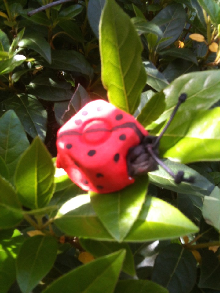 Animation de fêtes et anniversaires pour enfants à domicile